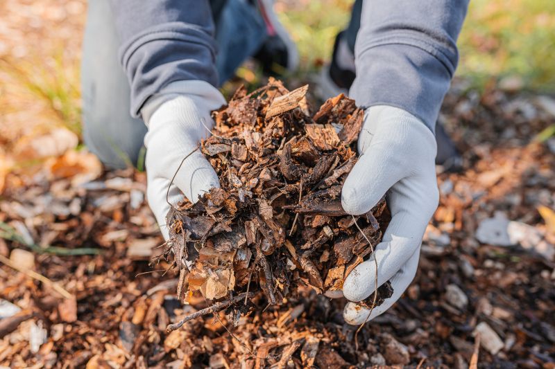 Black Mulch Installation in Ventura County, CA