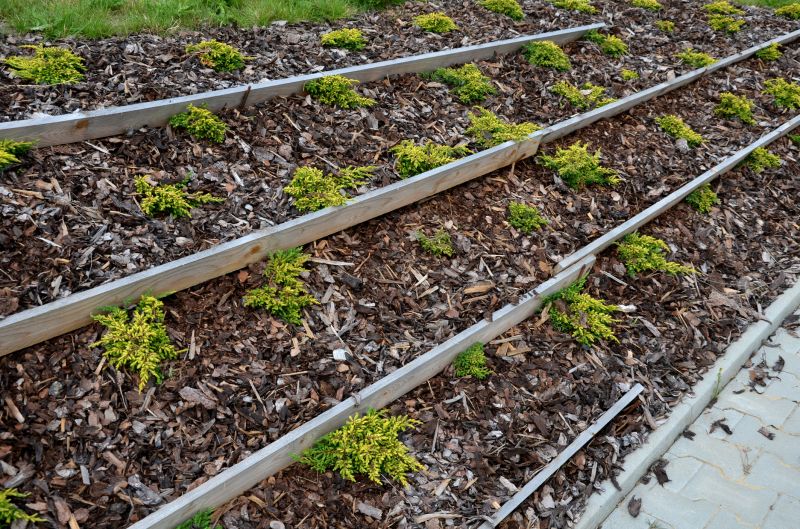 Black Mulch Installation in Ventura County, CA