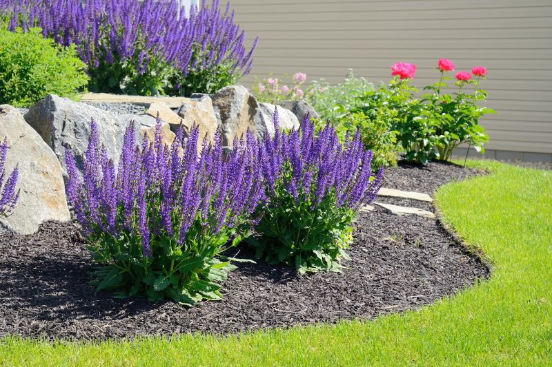 Black Mulch Installation in Ventura County, CA