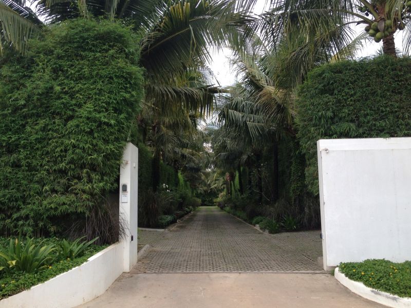 Bush Planting Service in Ventura County, CA