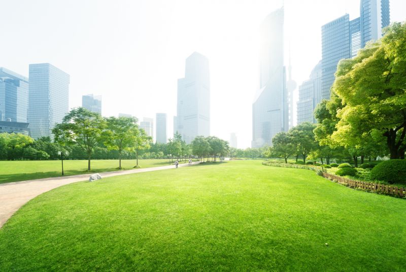 Commercial Landscape Maintenance in Ventura County, CA
