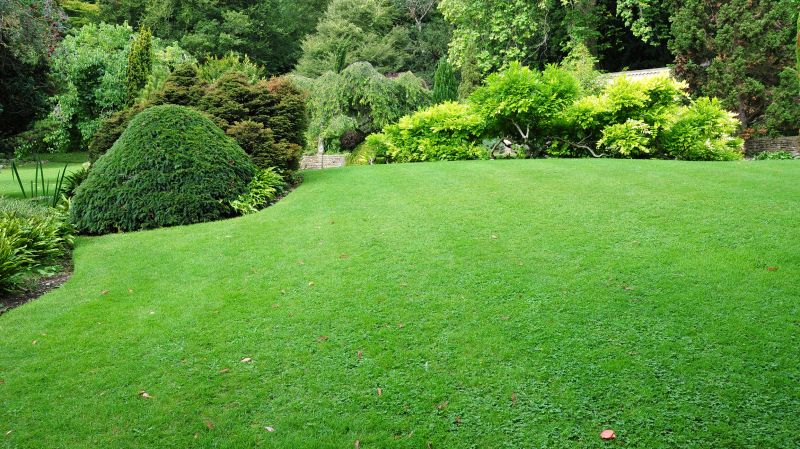 Commercial Landscaping in Ventura County, CA