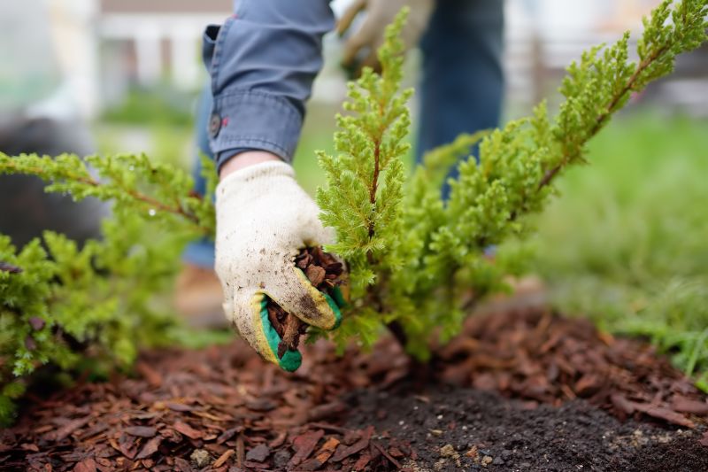Commercial Mulching in Ventura County, CA