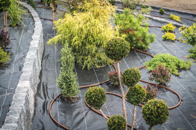 Concrete Landscaping in Ventura County, CA