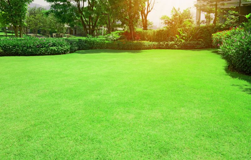 Damaged Yard Repair in Honolulu, HI