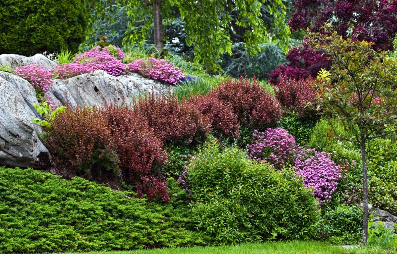 Dryscape Landscaping in Ventura County, CA