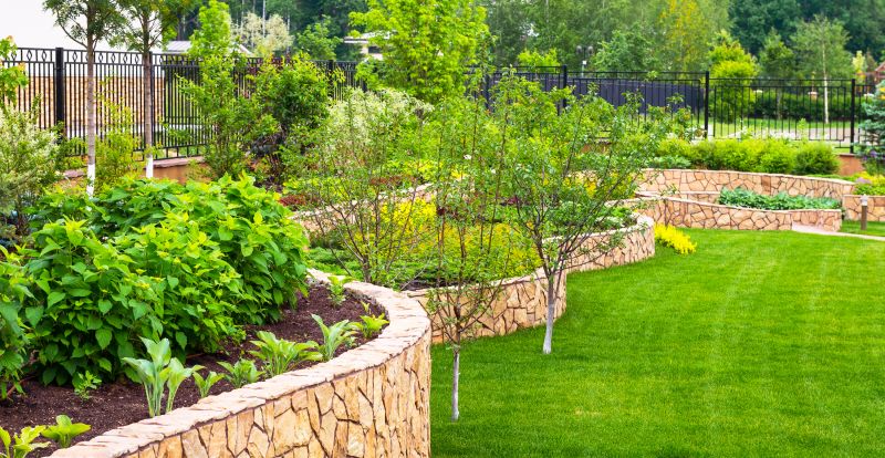 Dryscape Landscaping in Honolulu, HI