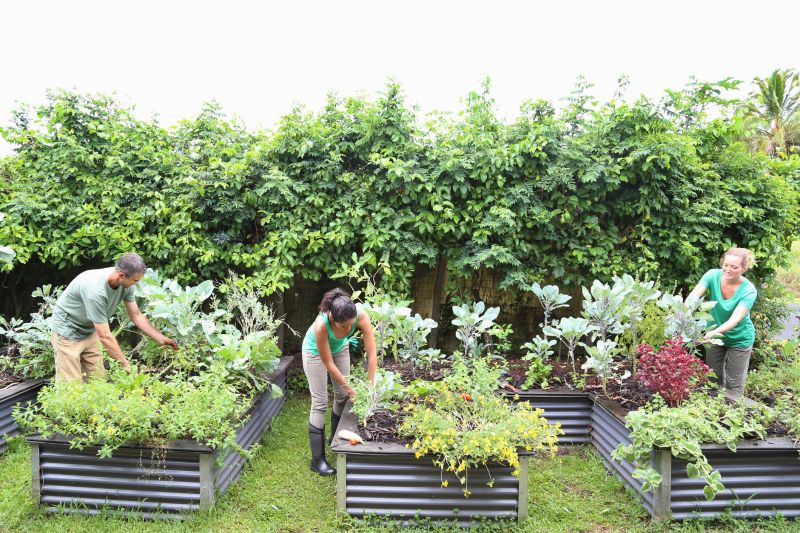 Garden Bed Construction in Ventura County, CA