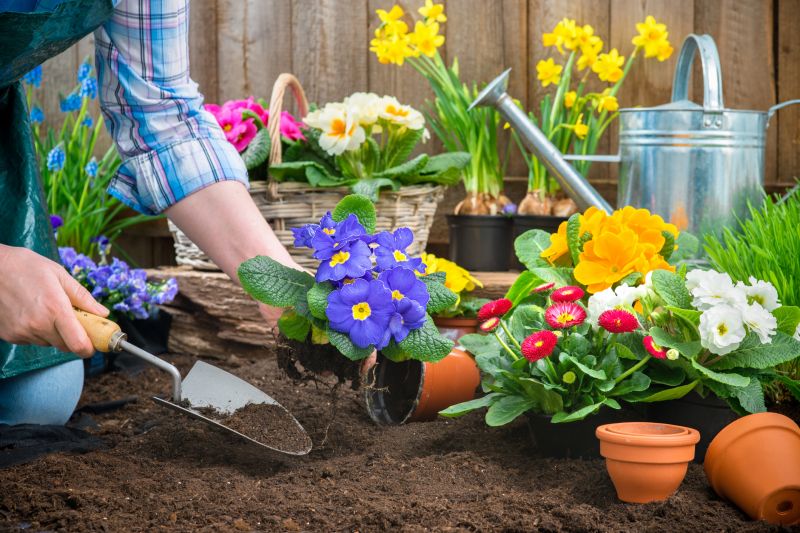 Gardening Service in Ventura County, CA