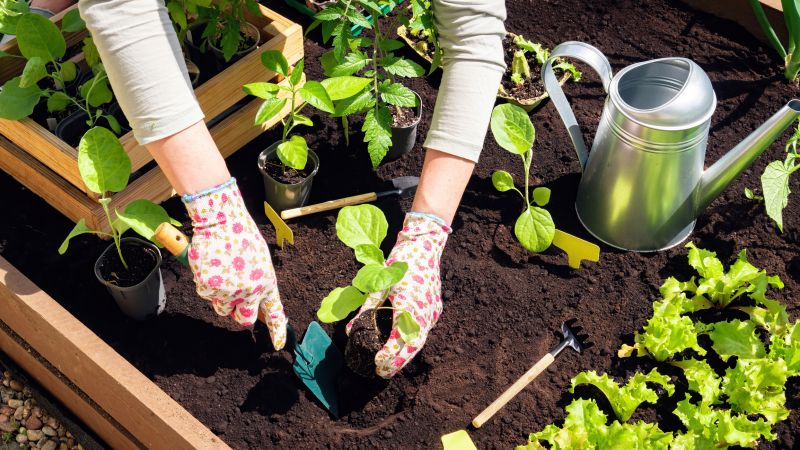 Gardening Service in Ventura County, CA