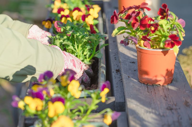 Gardening Service in Ventura County, CA