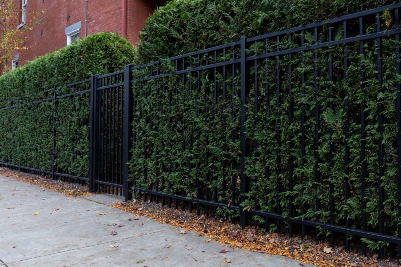 Hedge Replacement in Ventura County, CA
