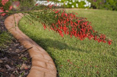 Lawn Curbing Service in Citrus County, FL