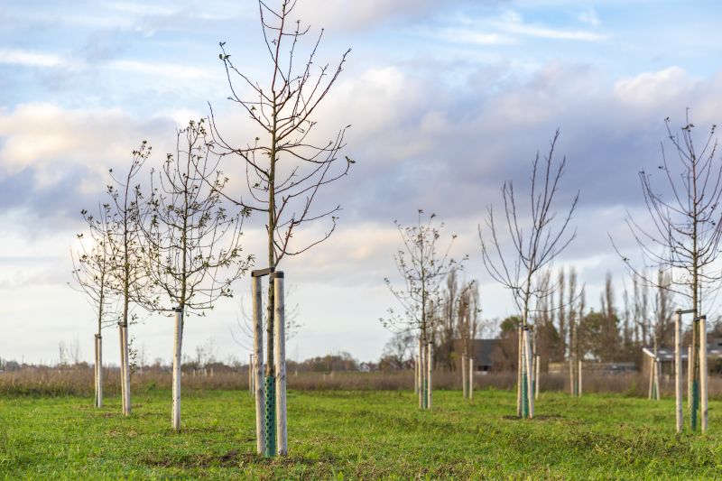 Orchard Planting in Ventura County, CA