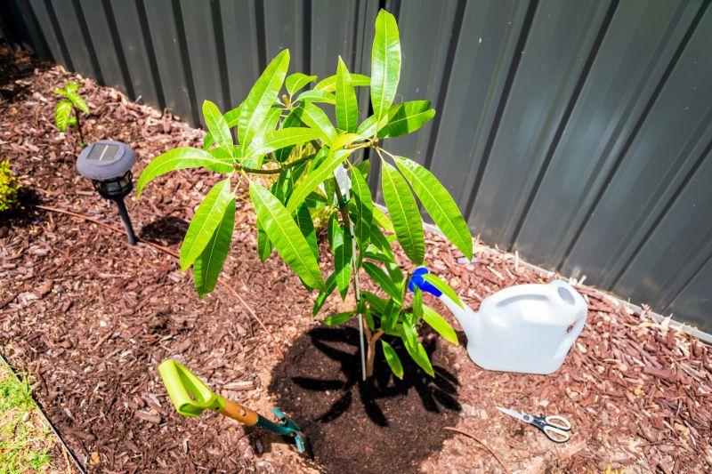 Orchard Planting in Ventura County, CA