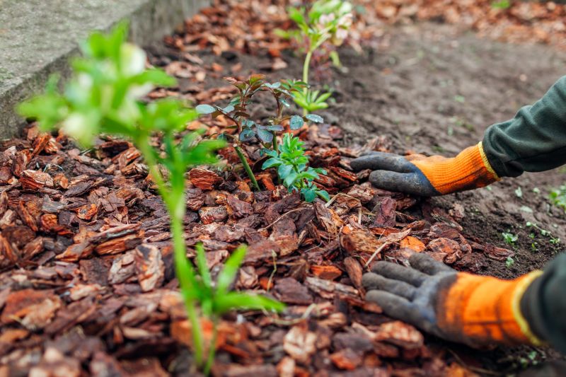 Organic Mulch Installation in Ventura County, CA