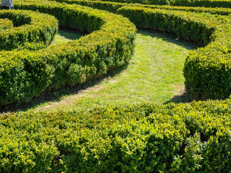 Pathway Landscaping in Ventura County, CA