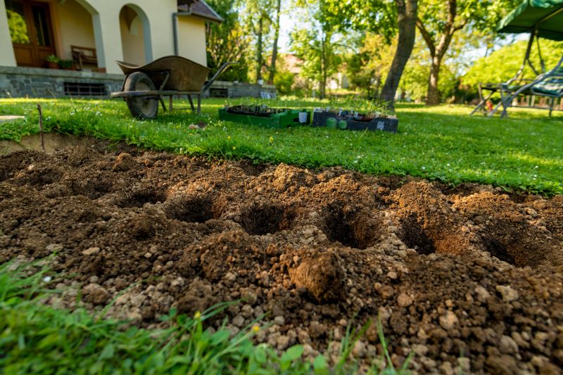 Planting Service in Ventura County, CA