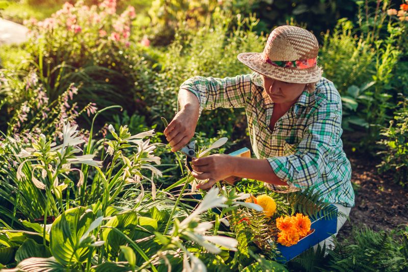 Planting Service in Ventura County, CA