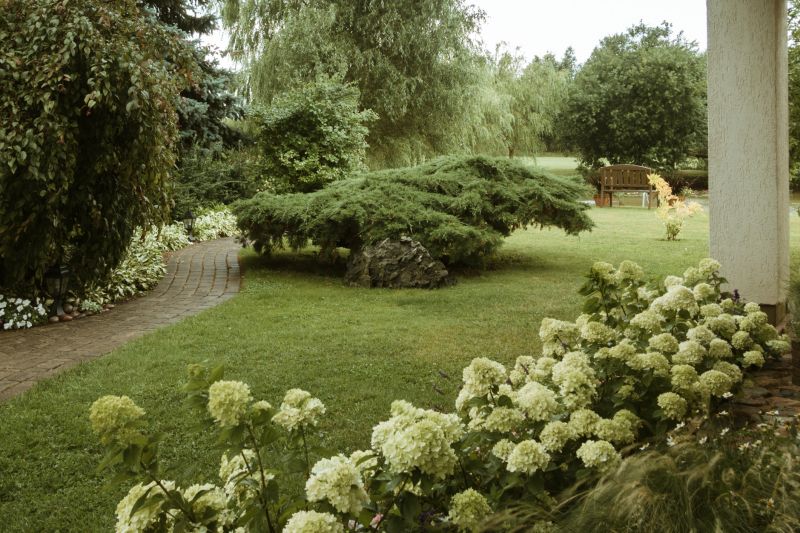 Privacy Hedge Planting in Ventura County, CA