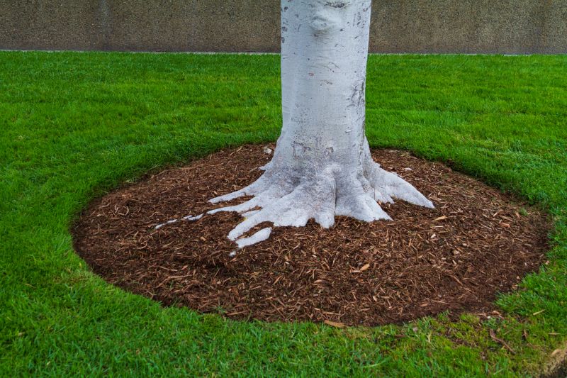 Residential Mulching in Ventura County, CA