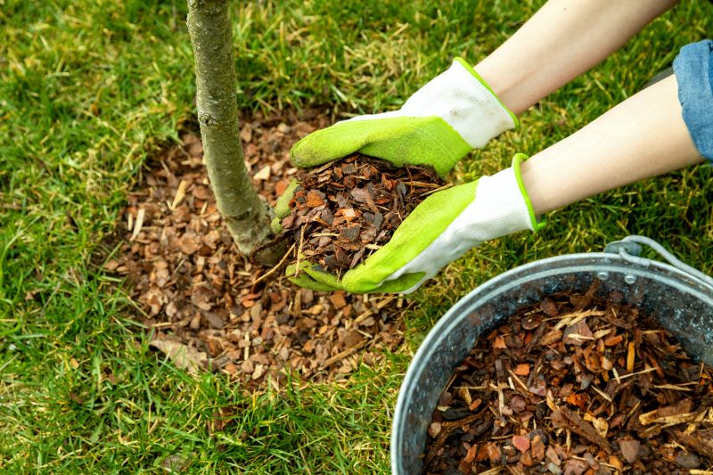 Residential Mulching in Ventura County, CA