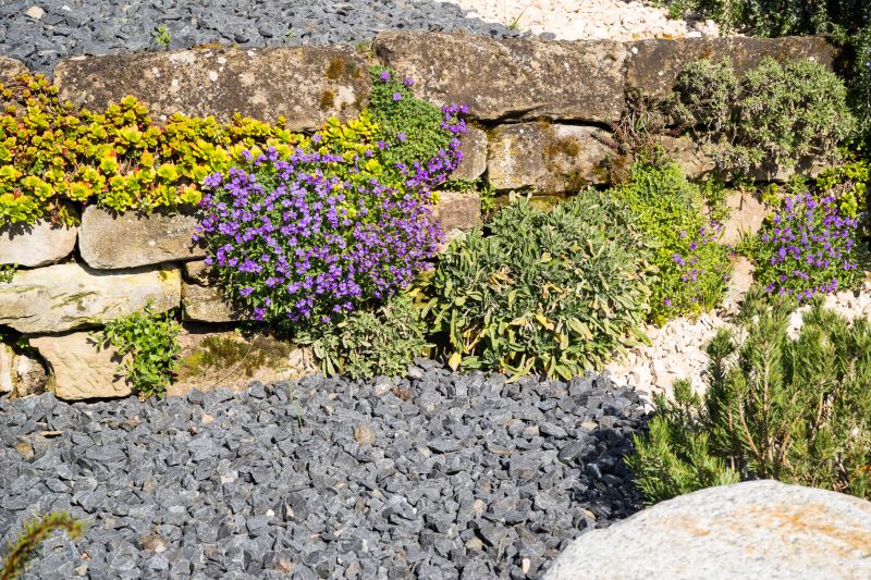 Rock Garden Installation in Ventura County, CA