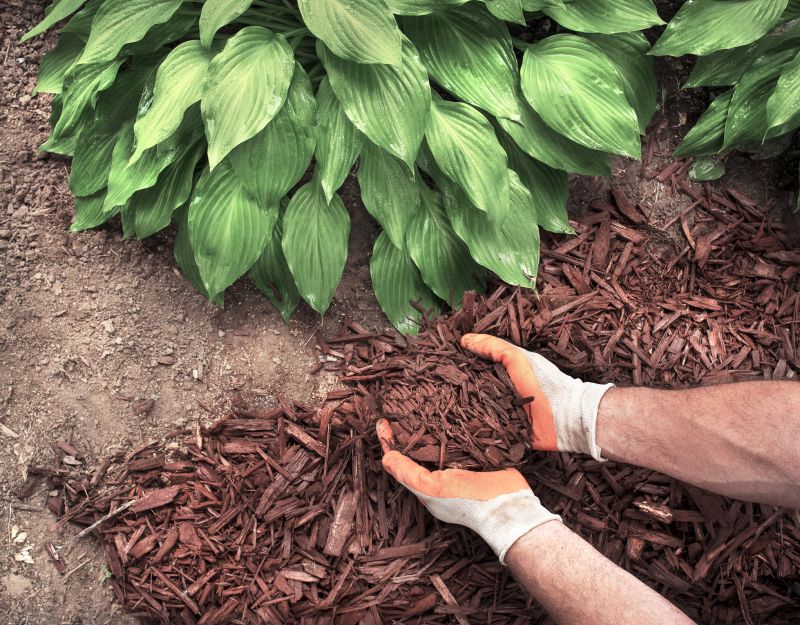 Shredded Mulch Installation in Ventura County, CA