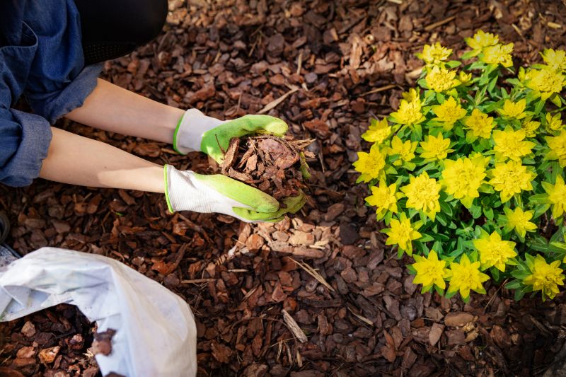 Shredded Mulch Installation in Ventura County, CA