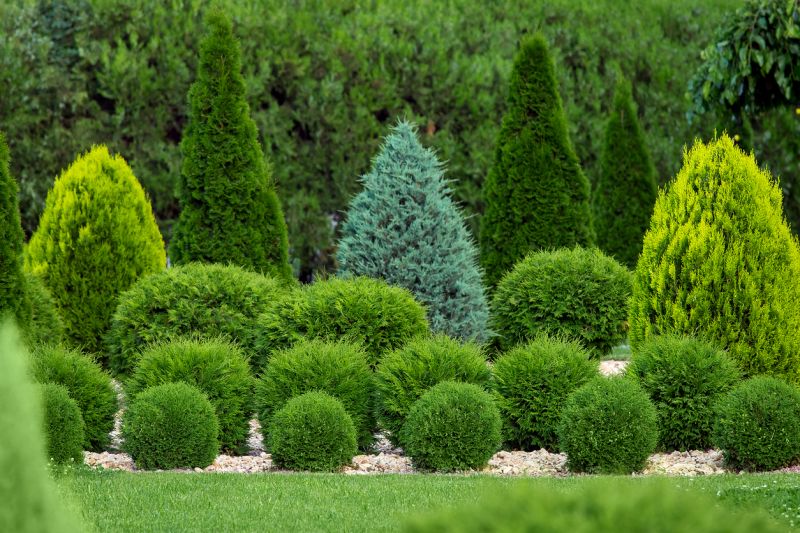 Shrub Installation in Ventura County, CA