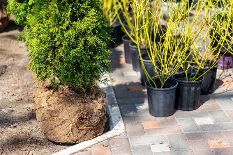 Shrub Landscaping in Ventura County, CA