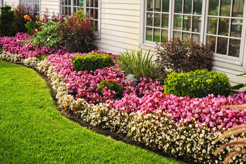 Shrub Replacement in Ventura County, CA