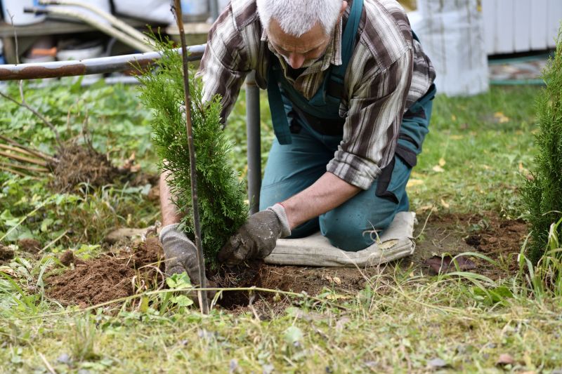 Shrub Replacement in Ventura County, CA