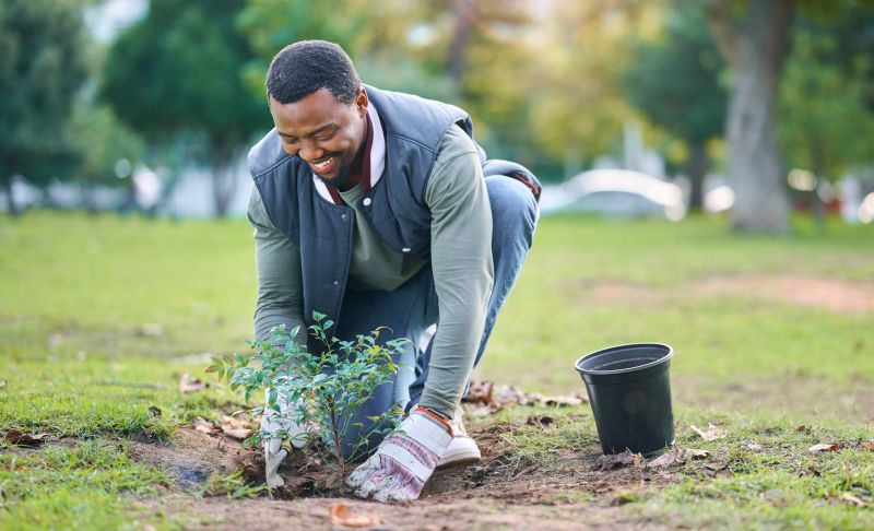 Small Garden Landscaping in Ventura County, CA