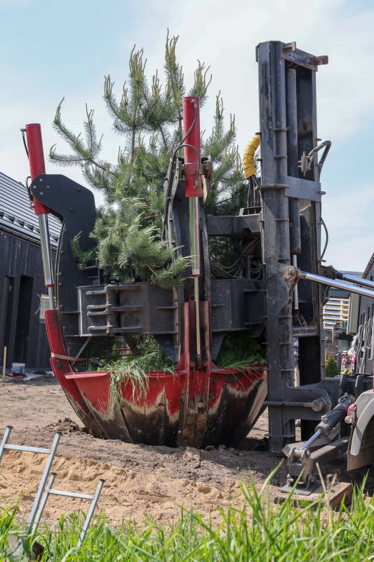 Tree Installation Service in Ventura County, CA