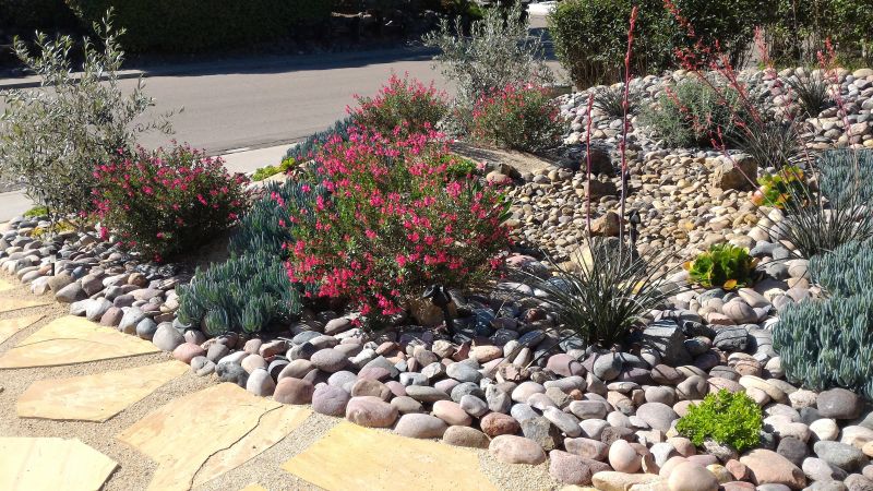 Xeriscape Landscaping in Ventura County, CA