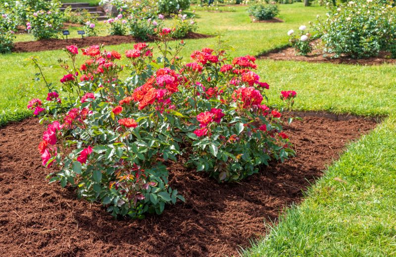 Flower Bed Maintenance in Ventura County, CA