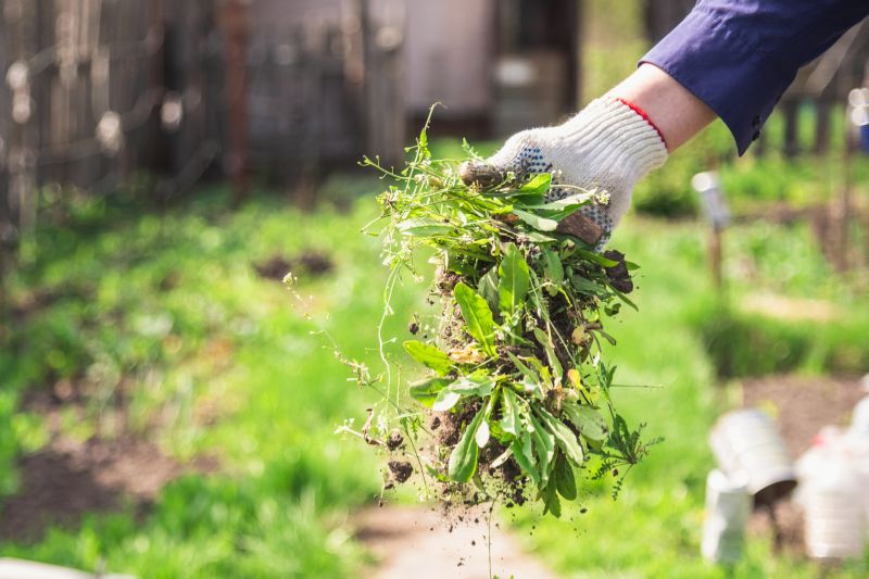 Garden Cleanup Service in Ventura County, CA