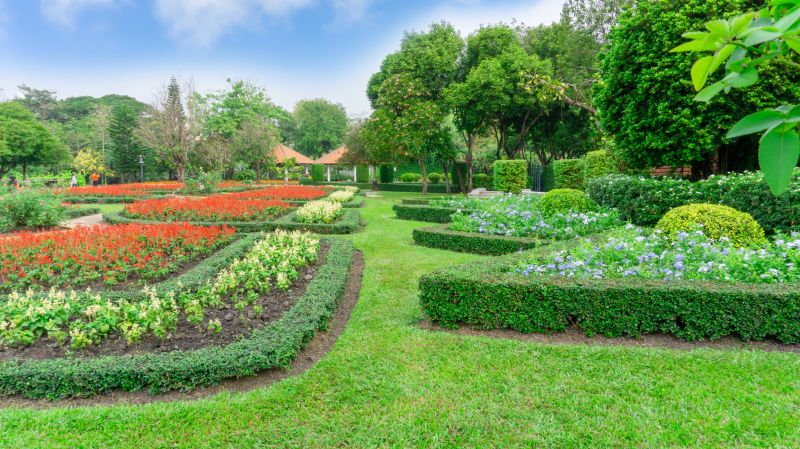 Shrub Installation in Ventura County, CA
